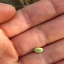 구례의 휴일 이미지