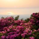 바리메오름 이미지