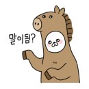 거제다찌 이미지