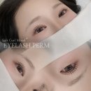 더퀸즈뷰티