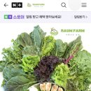 라움팜 이미지