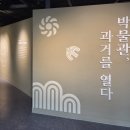 조선대학교 박물관 더코리아