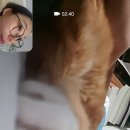 대희농장 이미지