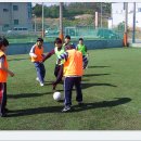 해맞이태권도 이미지