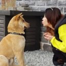 오리오 펜션 이미지