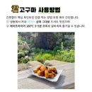 겨울철 간식 추천! 냉동으로 더 편하게 보관하는 웰빙팜 아이스고구마 구매 후기