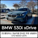 오토존모터스 | BMW 530i xDrive 가격부터 옵션까지! 실물 색상 후기, BMW강남에서!