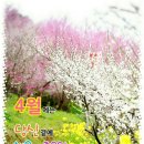 늘좋은날 - 홍성군 | 늘좋은날