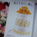 아미플라워