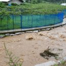 사그막천 이미지