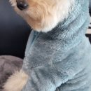 (주)해브투