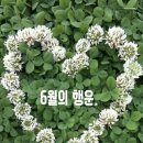 오늘 휴일 영시님. 웅이팅 🩵💕 이미지
