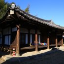 경남 창녕특산물 1909년 양파시배지 양파주 양파보리쌈장 창녕석리성씨고가 여행