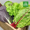 홍의동농장 이미지