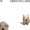 오소하 이미지