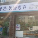 늘푸른동물병원 이미지
