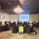 콜론디