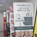 오5피부에스테틱