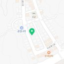 일산고양이분양&미용 반하나캣 이미지