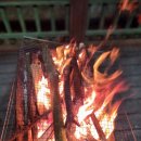 1월펜션 이미지