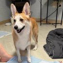 원이네 하우스 이미지