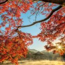 원전슈퍼 이미지