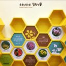 꿀벌나라테마공원 이미지