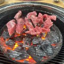 은행나무갈매기 이미지