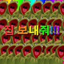 박순 이미지