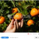 귀재농장 | 직장인 부업일기 : 내가 찍은 사진으로 파이프라인 구축 성공?