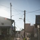 영순상회 이미지