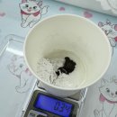 모뜨랑스 이미지