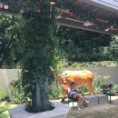 곰내재468커피 이미지