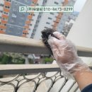 중동 대광로제비앙 이미지