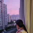 필승카센타 | 6월말~ 7월부터는 다이어트 시작 ! 능소화도 보고 ~ 여름 나기