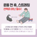 메디스포츠 네이버블로그