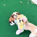 컴피 포항점 이미지