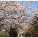 청려수련원 이미지