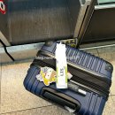 선지로87번길R | [유럽 여행/포르투갈 여행] 4일차(2026.01.18.) 리스본 여행(부엘링 항공/ 벨렝 지구/ 해물밥 맛집)