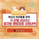 광안1동 수영로 메이동물의료센터 앞 | 부산시 반려동물 정책 "2021년 광견병 예방접종 지원"