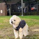 굿앤굿즈 이미지