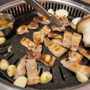 제주복돼지 이미지