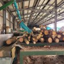 함양톱밥 이미지