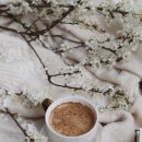 커피바리스타 자격증 과정 이미지