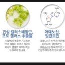 숙화장품