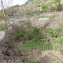 곡성-200 이미지