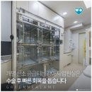 평촌동물병원 이미지