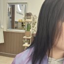 컬러&하우스(예산점)