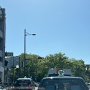 교토여행 2박3일 가족해외여행 (몬치치하우스,청수사,산넨자카 니넨자카,동구리공화국)