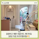 프리미엘의원 | 소소리뷰) 분당 미금역네일 맛집, 프리미엘네일,패디 장인 승연디자이너 이달의 페디후기, 분당네일